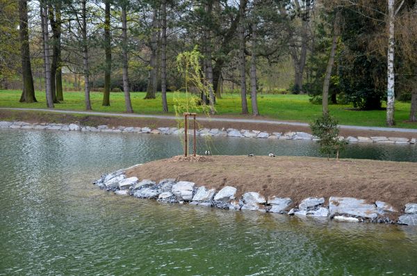 Pond Landscaping Service in Turlock