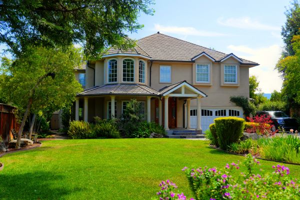 Large Yard Landscaping in Turlock