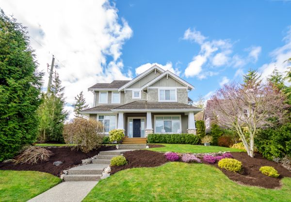 Landscaping Replacement in Turlock
