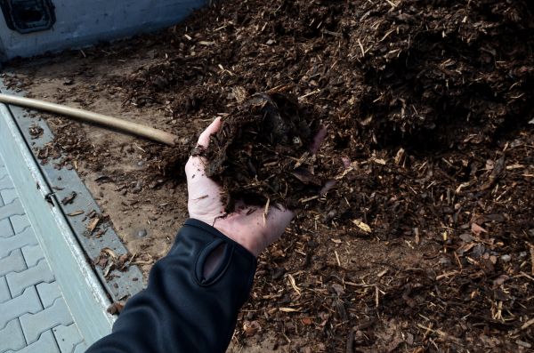 Condo Mulching in Turlock