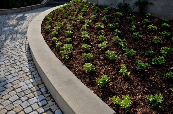 Commercial Mulching in Turlock