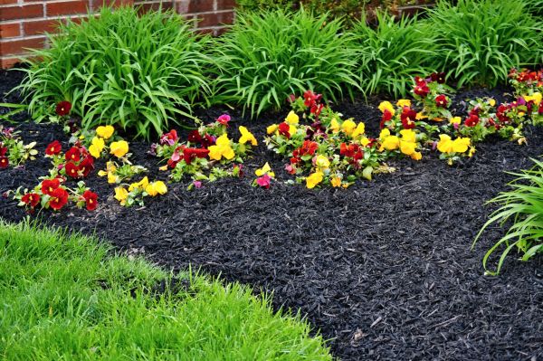 Apartment Mulching in Turlock