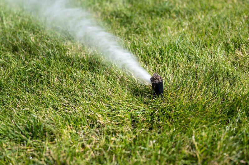 Lawn Sprinkler System Before Winterization